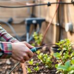 Подключение к электросетям в СНТ: особенности и нюансы