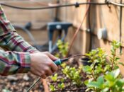 Подключение к электросетям в СНТ: особенности и нюансы